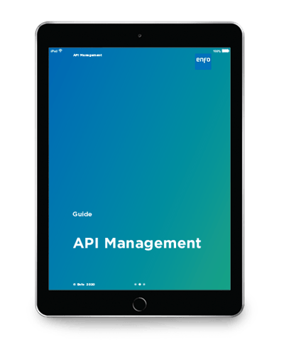 E-Bok_Guide_API-management_update